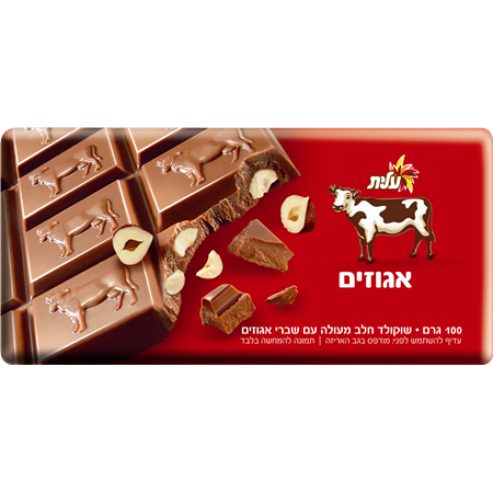 Elite Parra Milk With Huzelnuts Chocolate Bar Mehadrin 100 grams Pack of 18 FREE SHIPPING