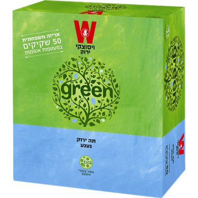 Green Tee With Mint 50 Tea Bags 75 grams Pack of 2