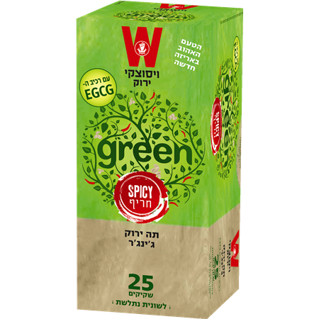 Green Spicy Tee With Ginger 25 Tea Bags  37 grams Pack of 2