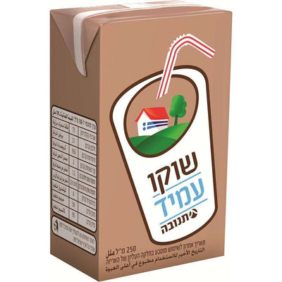 Tnuva UHT Chocolate Milk 250 ml