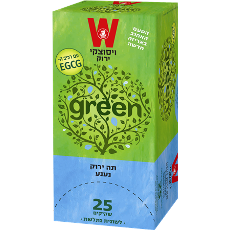 Green Tea With Mint 25 Tea Bags  37 grams Pack of 2