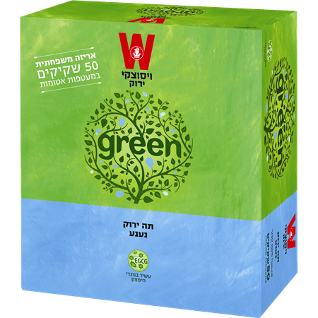 Green Tee With Mint 50 Tea Bags 75 grams Pack of 2
