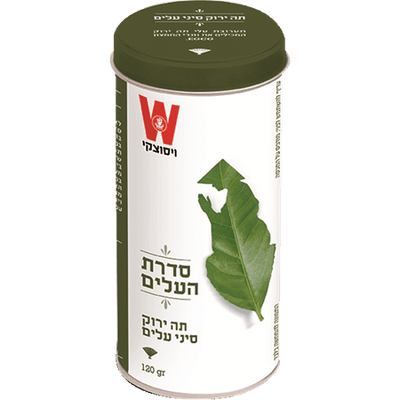 Chinese-Style Green Tea With Leaves 120 grams Pack of 2